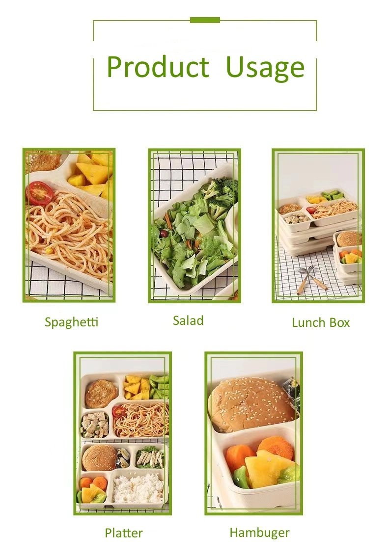 Disposable Biodegradable 4 Compartment Sugarcane Bagasse Tray Square Containers Fast Food Lunch Box Packaging